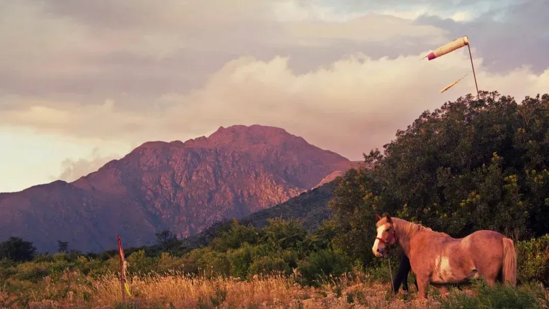 imagen_2024-06-18_140018946