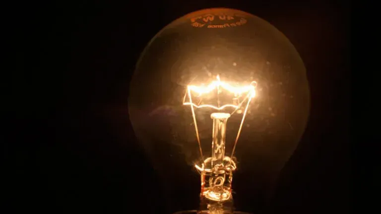 imagen_2024-11-04_134257340