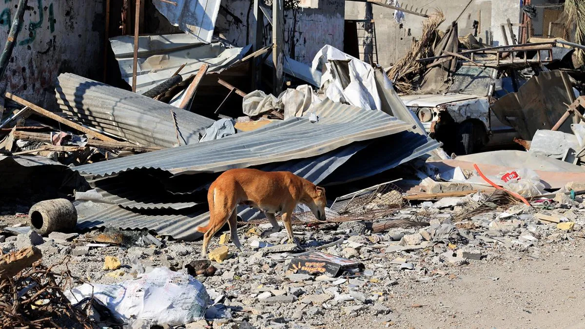 multimedia.normal.98a53b5b18b8c118.aW1hZ2VuXzIwMjMtMTAtMTZfMTk0MDU4NDgzX25vcm1hbC53ZWJw