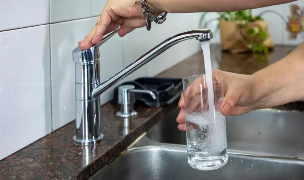 imagen_2024-12-30_112731028