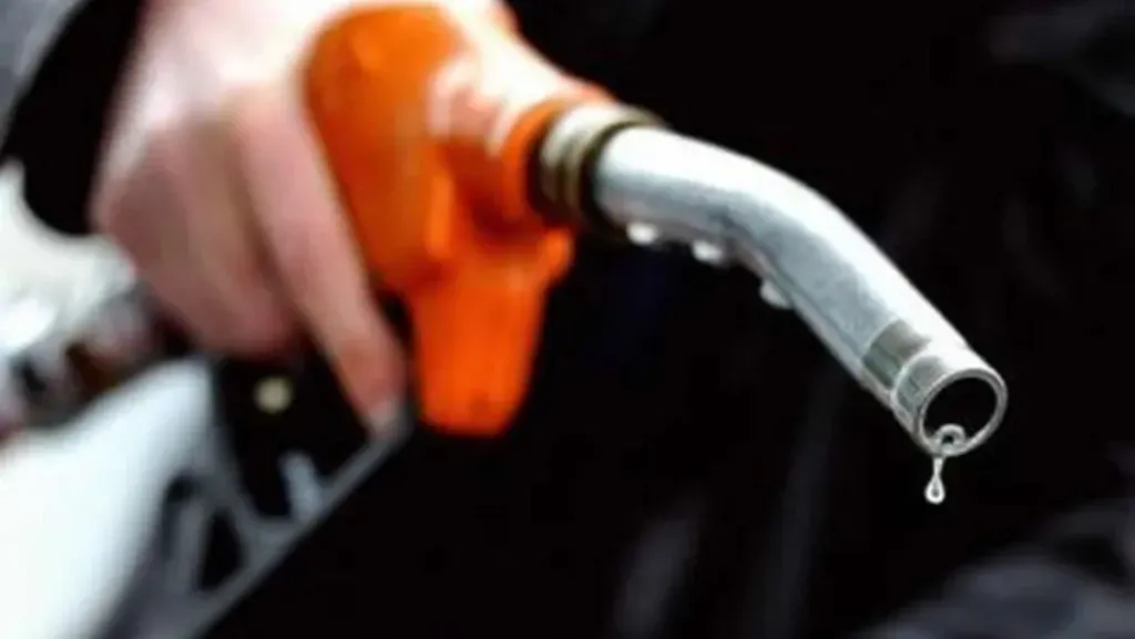 imagen_2025-01-31_111614945