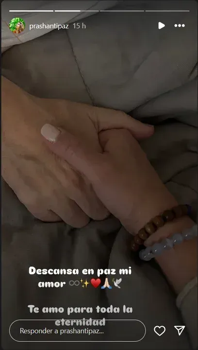 imagen_2025-01-27_111726809