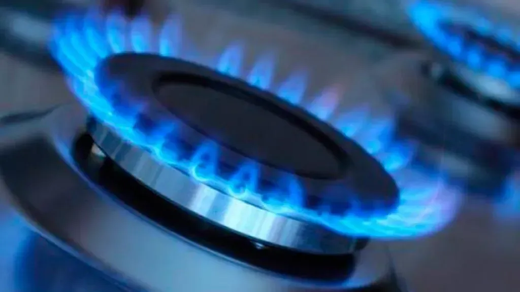 imagen_2025-03-06_120009200