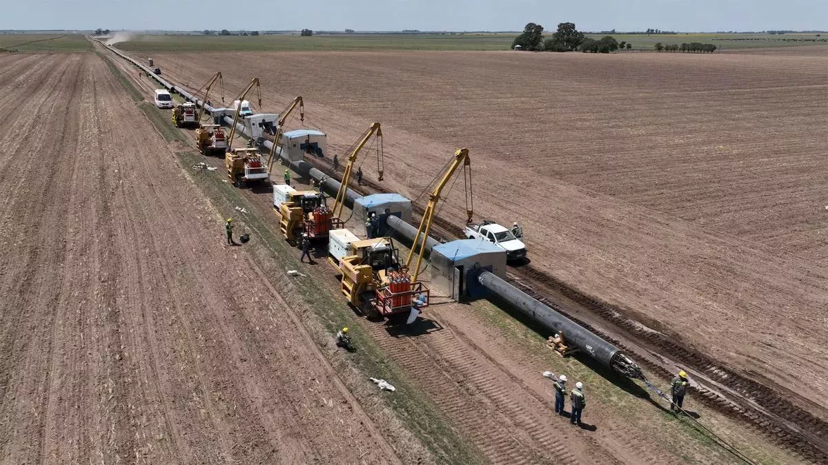 imagen_2023-01-19_175945748