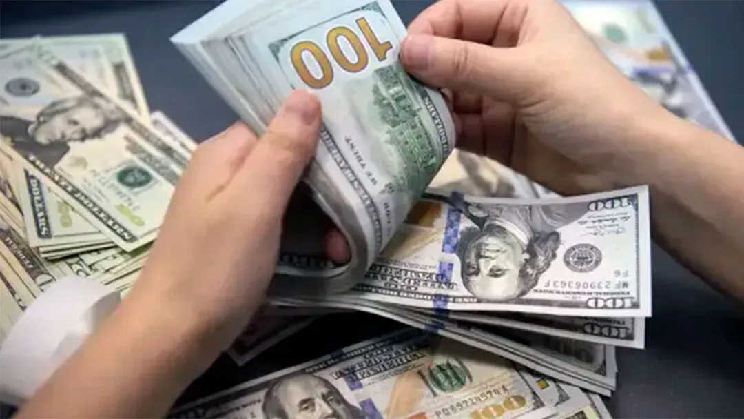 imagen_2025-01-15_101836567