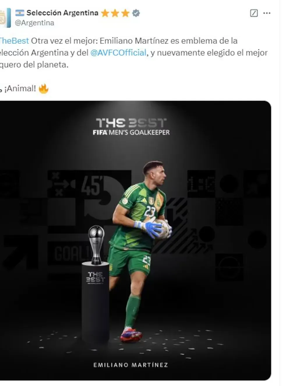 imagen_2024-12-18_125022944